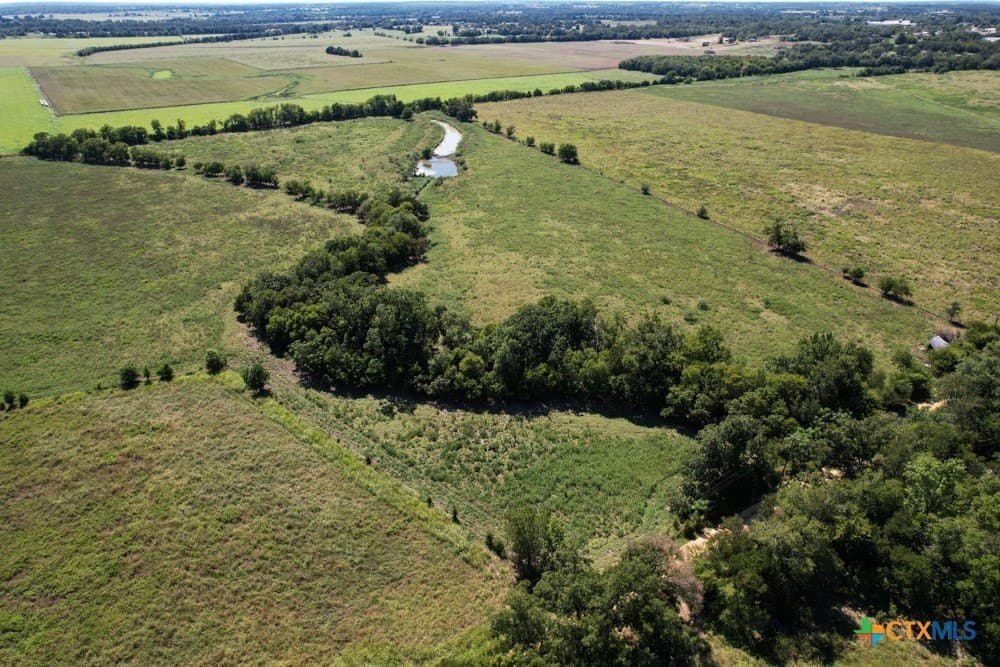 18.94 acres in Milam County gallery image 2