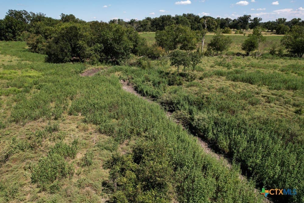 18.94 acres in Milam County gallery image 4