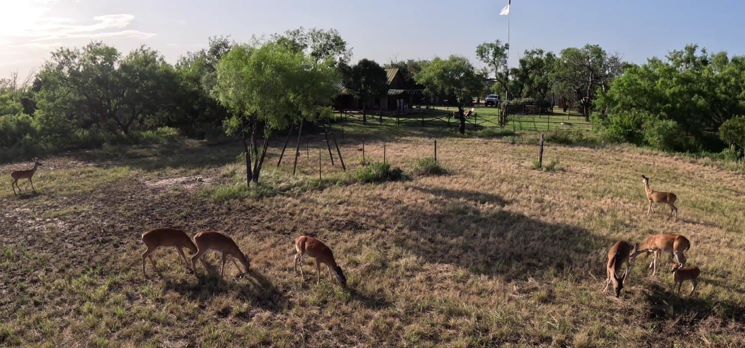 148.53 acres in Coleman County - photo 34