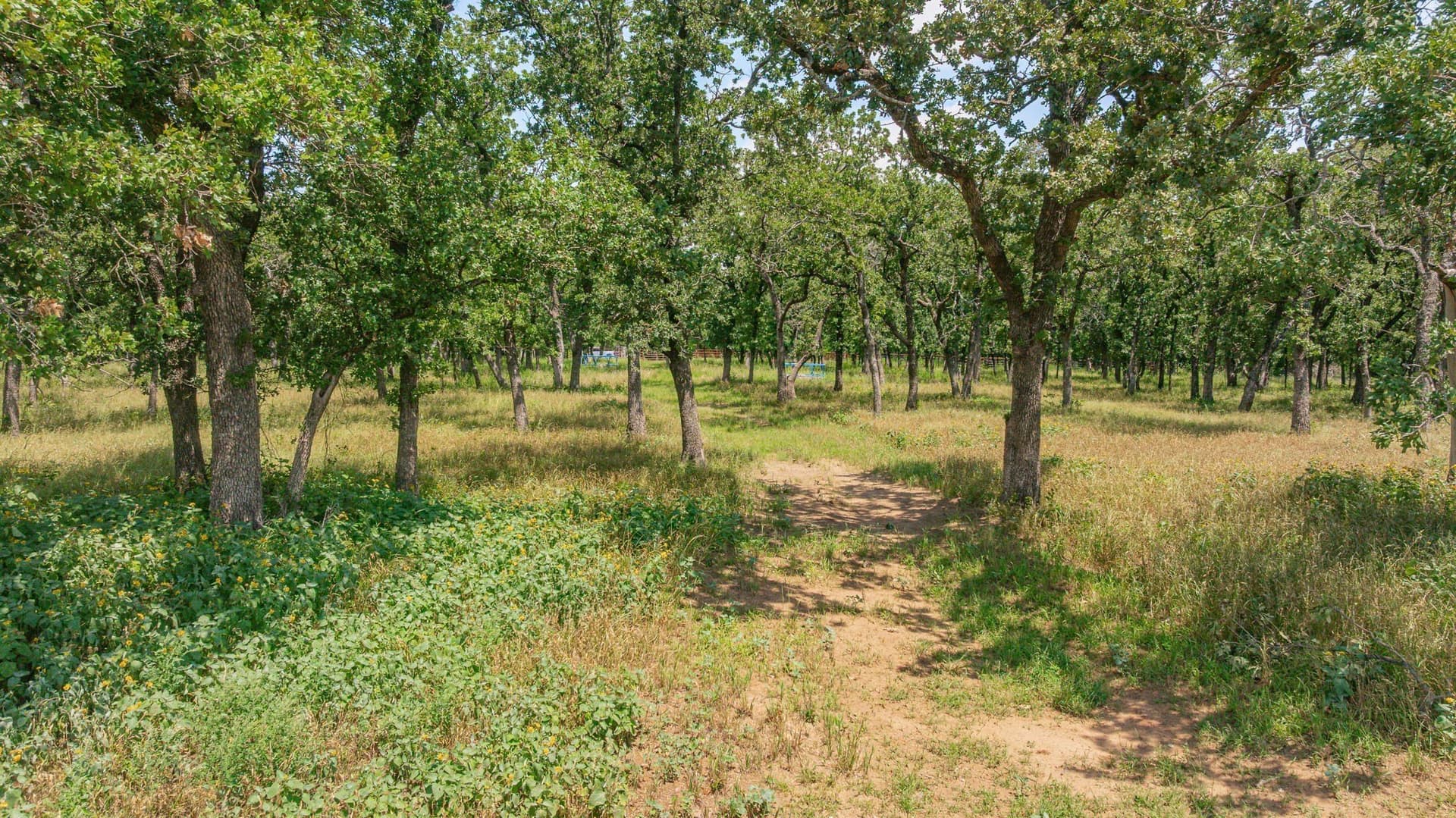 13.61 acres in Erath County - photo 16