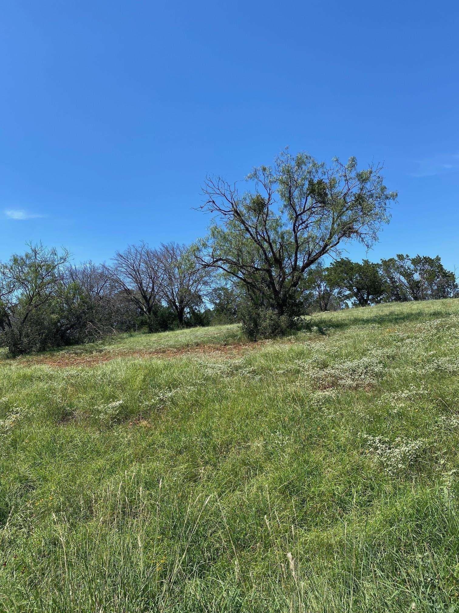 0.39 acres in Llano County gallery image 3