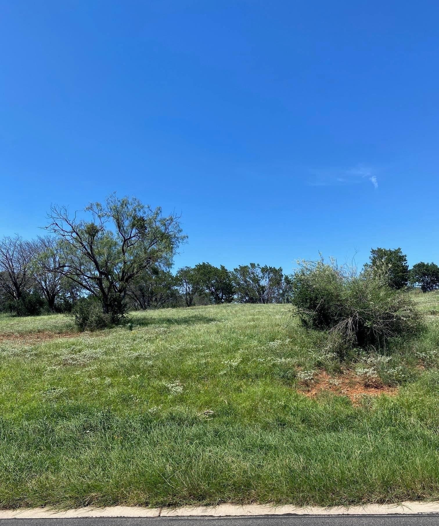0.39 acres in Llano County gallery image 2