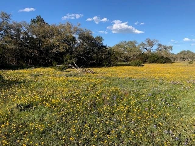 51.23 acres in Kimble County - photo 33