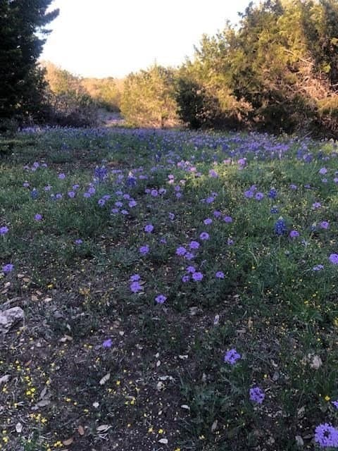 51.23 acres in Kimble County - photo 36