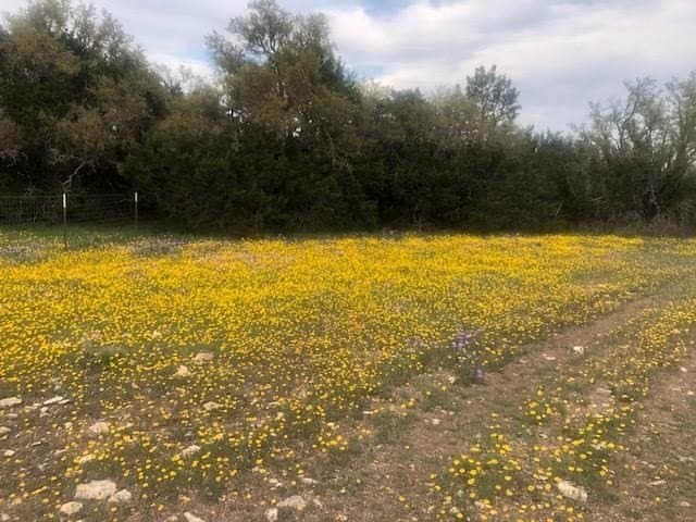 51.23 acres in Kimble County gallery image 4