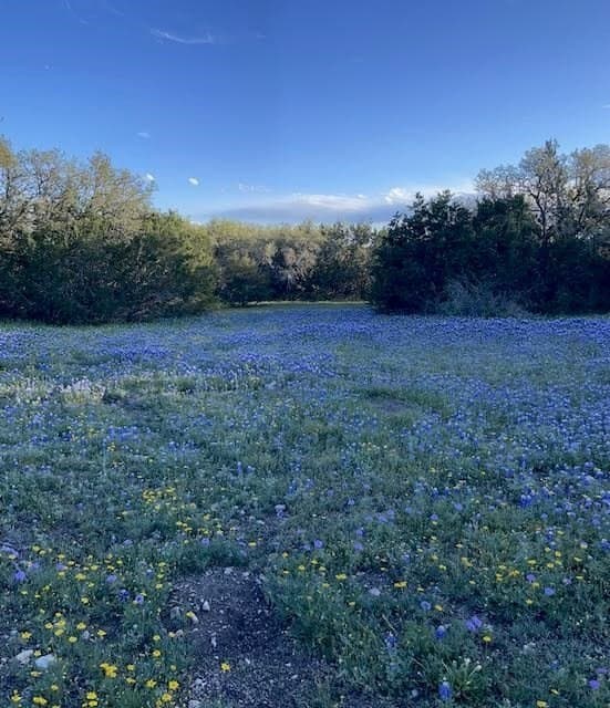 51.23 acres in Kimble County - photo 34