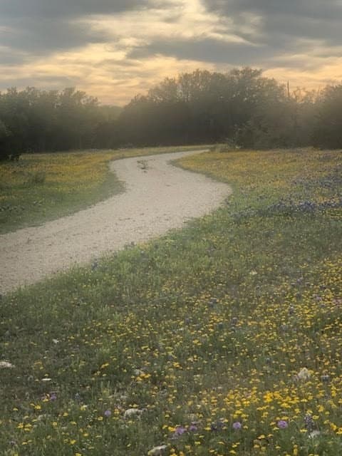 51.23 acres in Kimble County gallery image 3