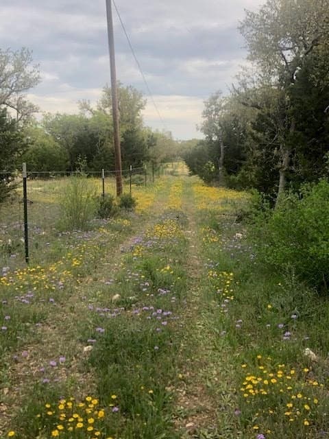 51.23 acres in Kimble County featured view