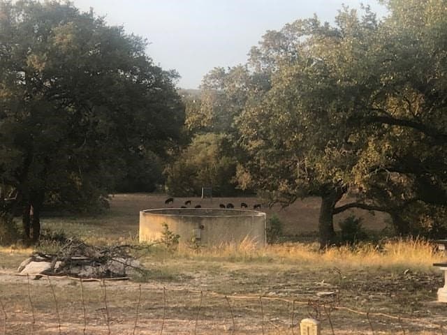 51.23 acres in Kimble County - photo 27