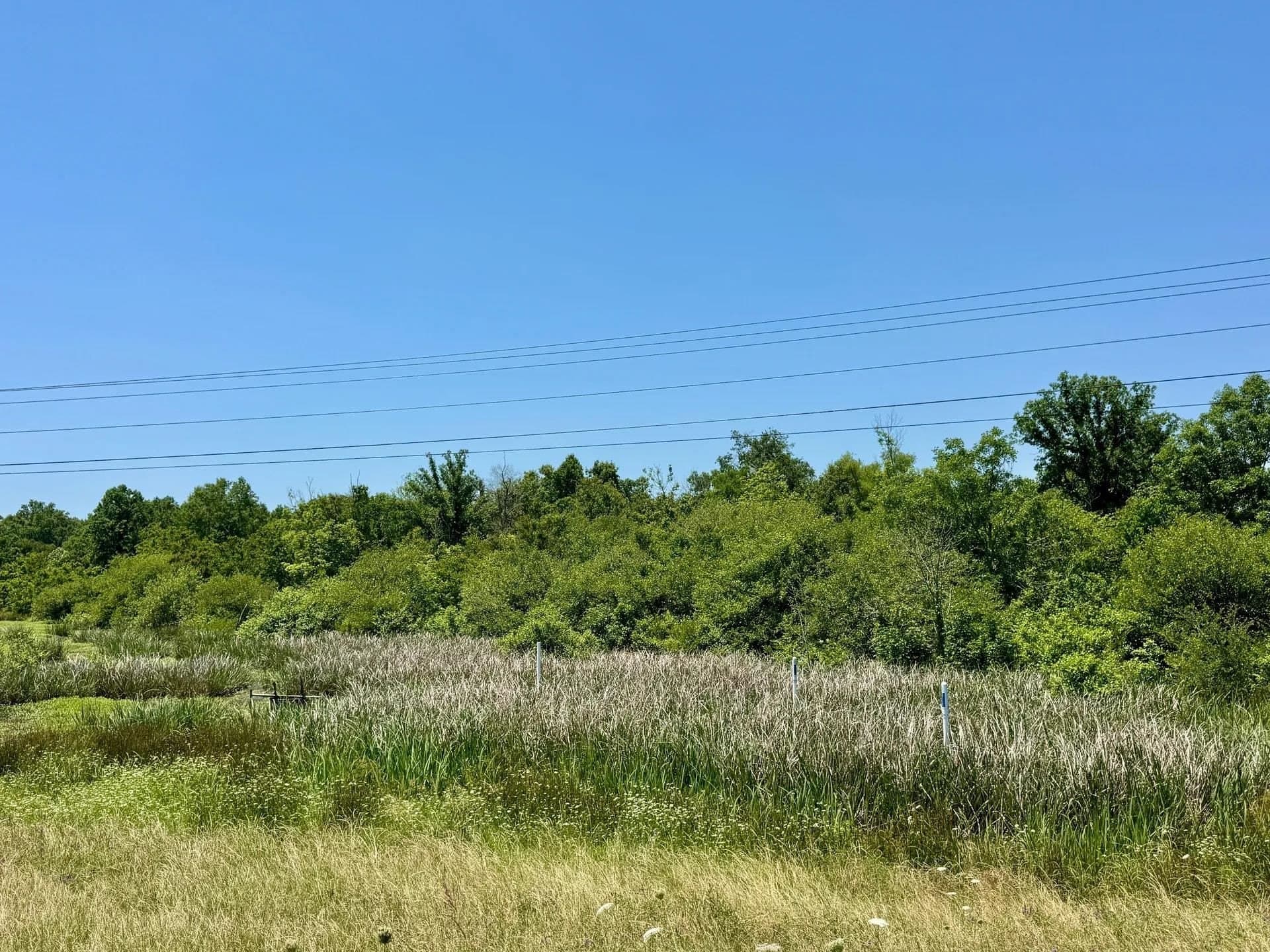 103.53 acres in Panola County - photo 20