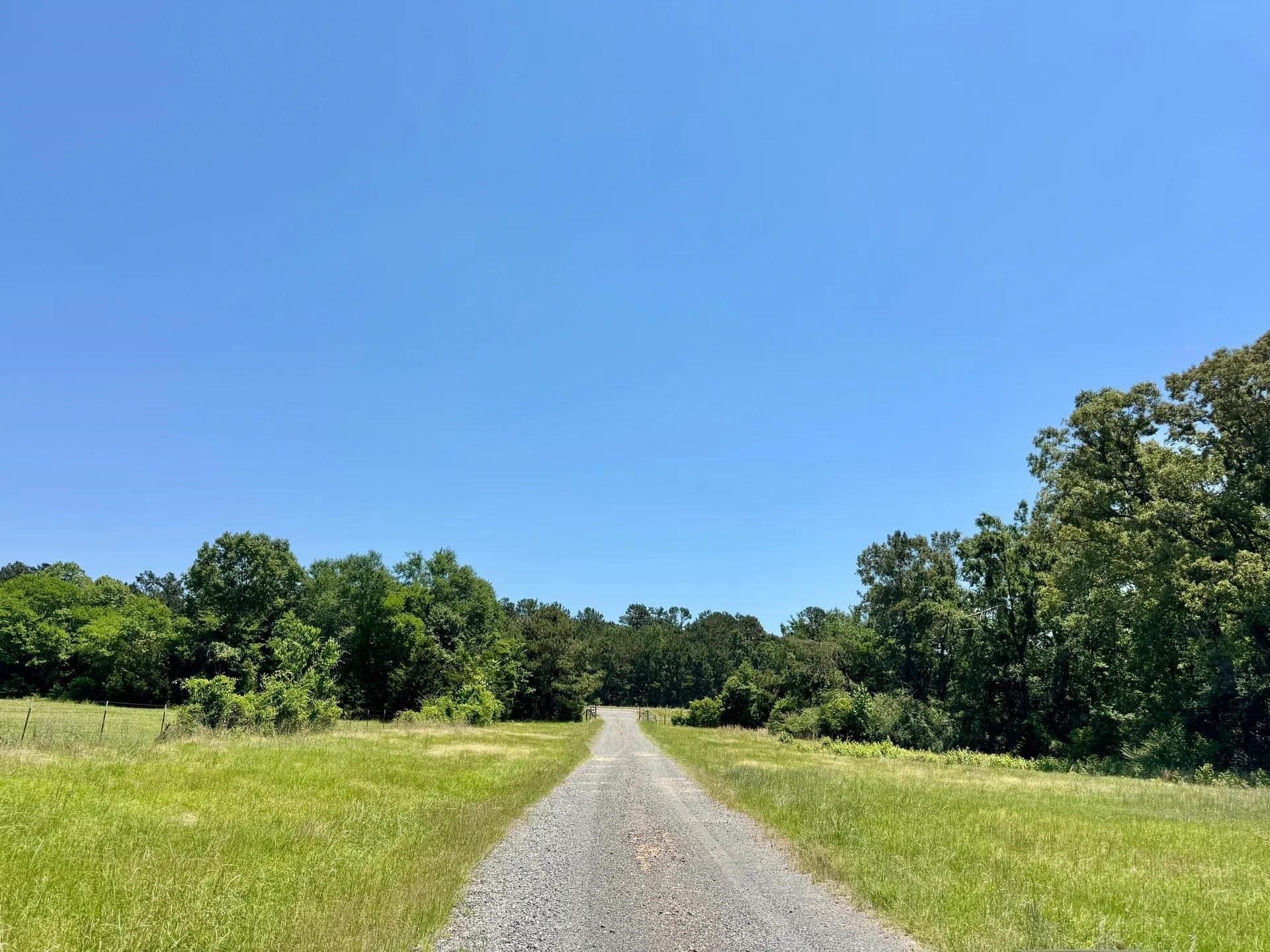 103.53 acres in Panola County - photo 17