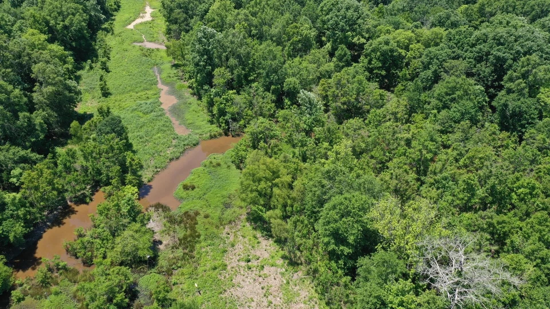 103.53 acres in Panola County featured view