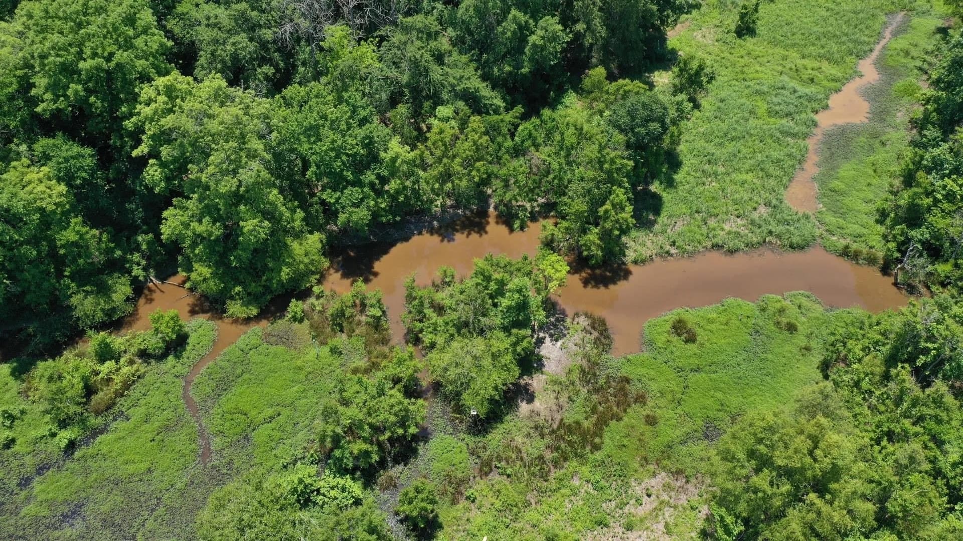 103.53 acres in Panola County gallery image 4