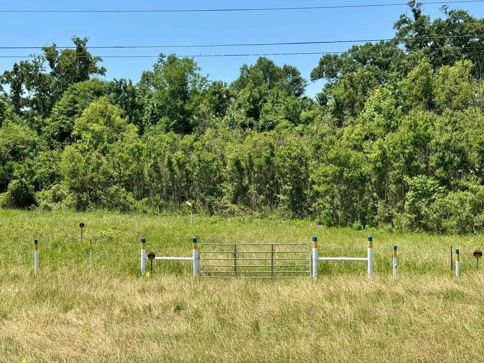 103.53 acres in Panola County - photo 18