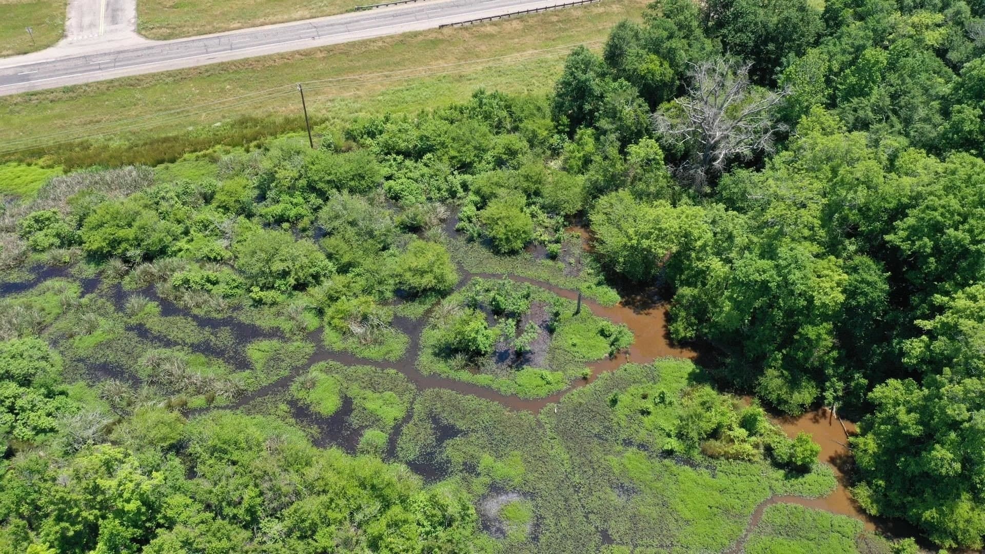 103.53 acres in Panola County gallery image 3
