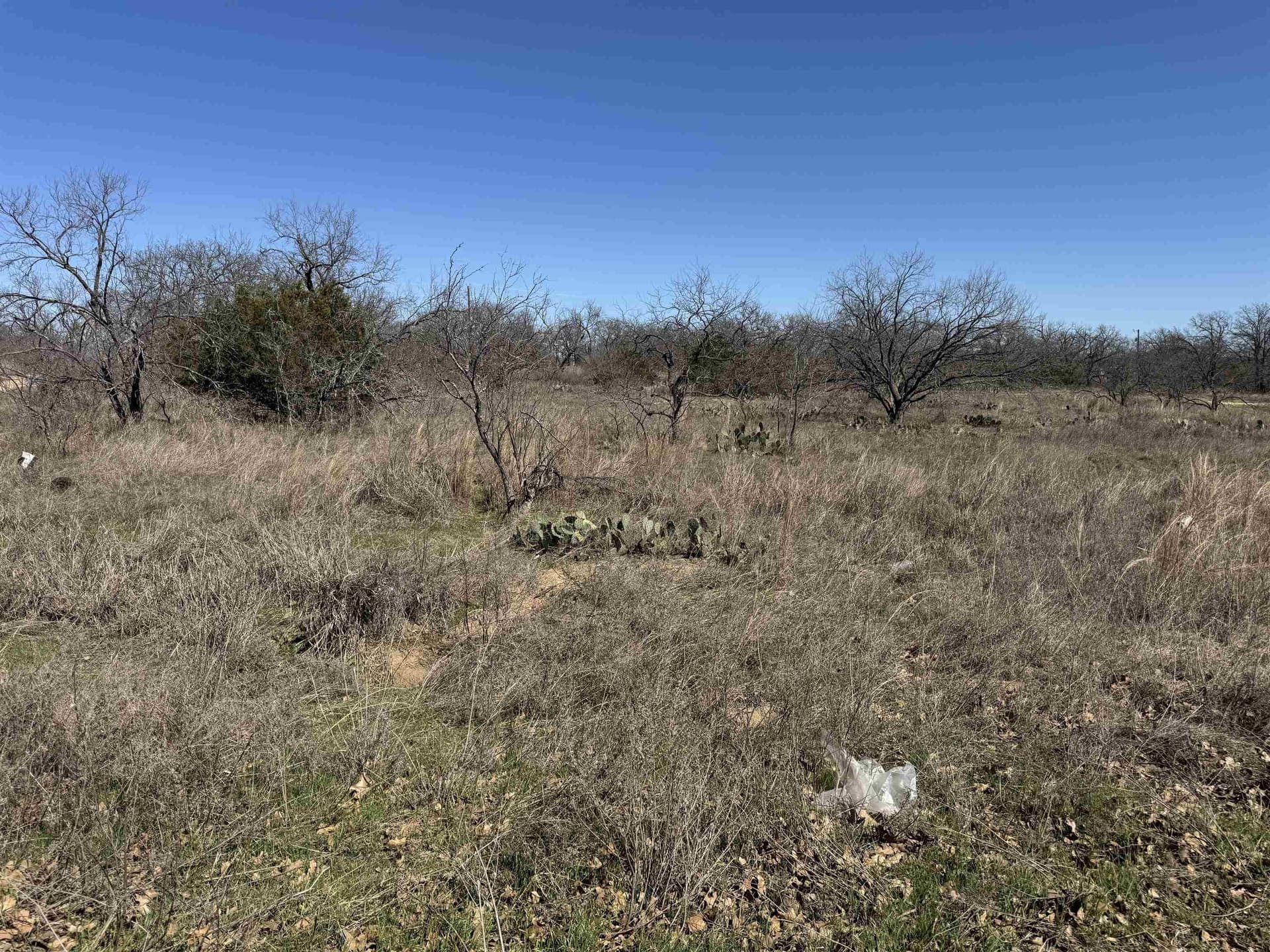 0.28 acres in Llano County gallery image 4