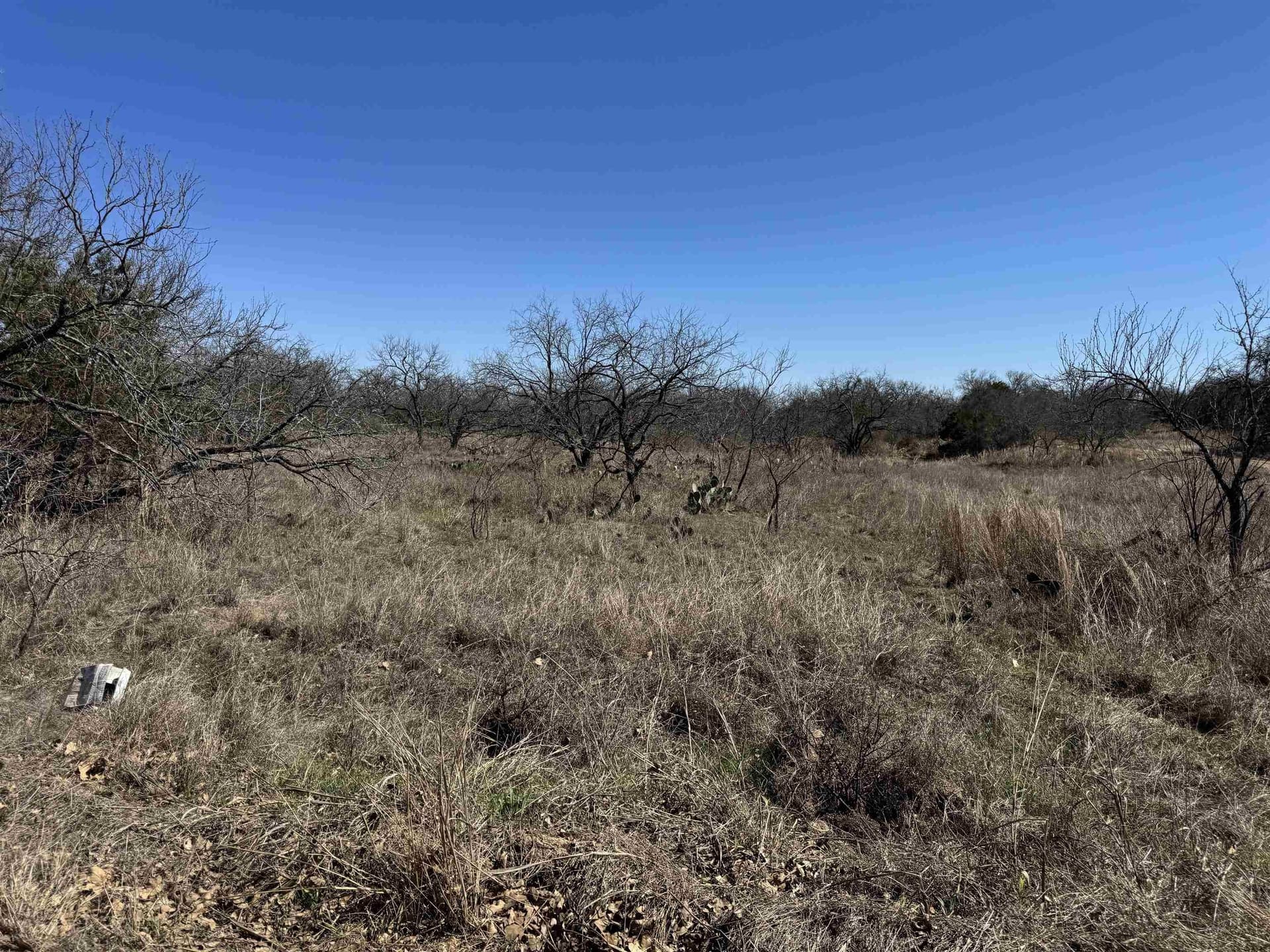 0.28 acres in Llano County gallery image 3
