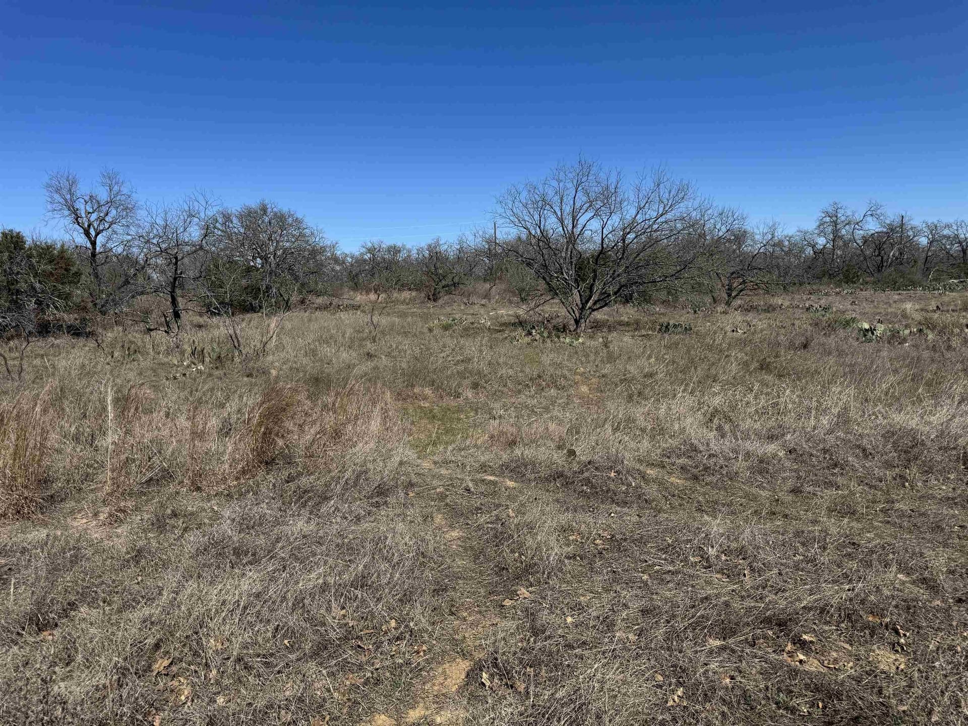 0.28 acres in Llano County - photo 6