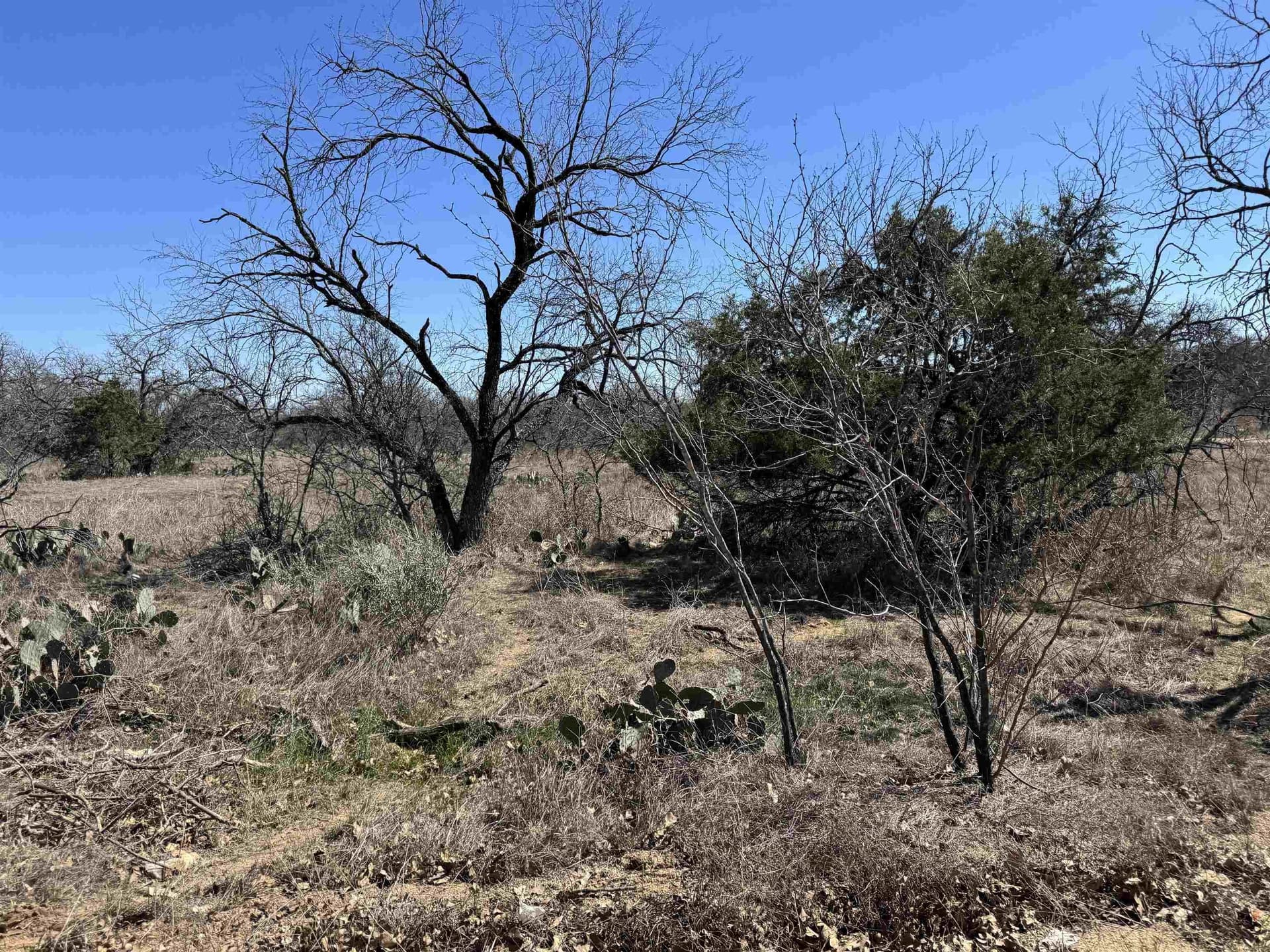 0.28 acres in Llano County gallery image 2