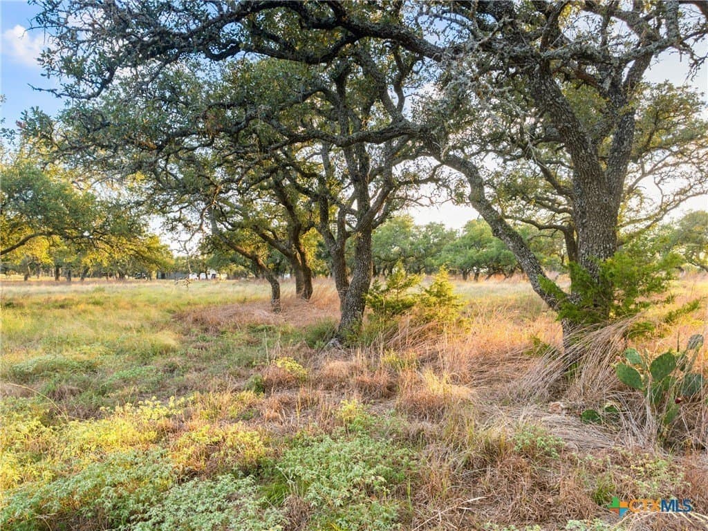 3.01 acres in Gillespie County - photo 10
