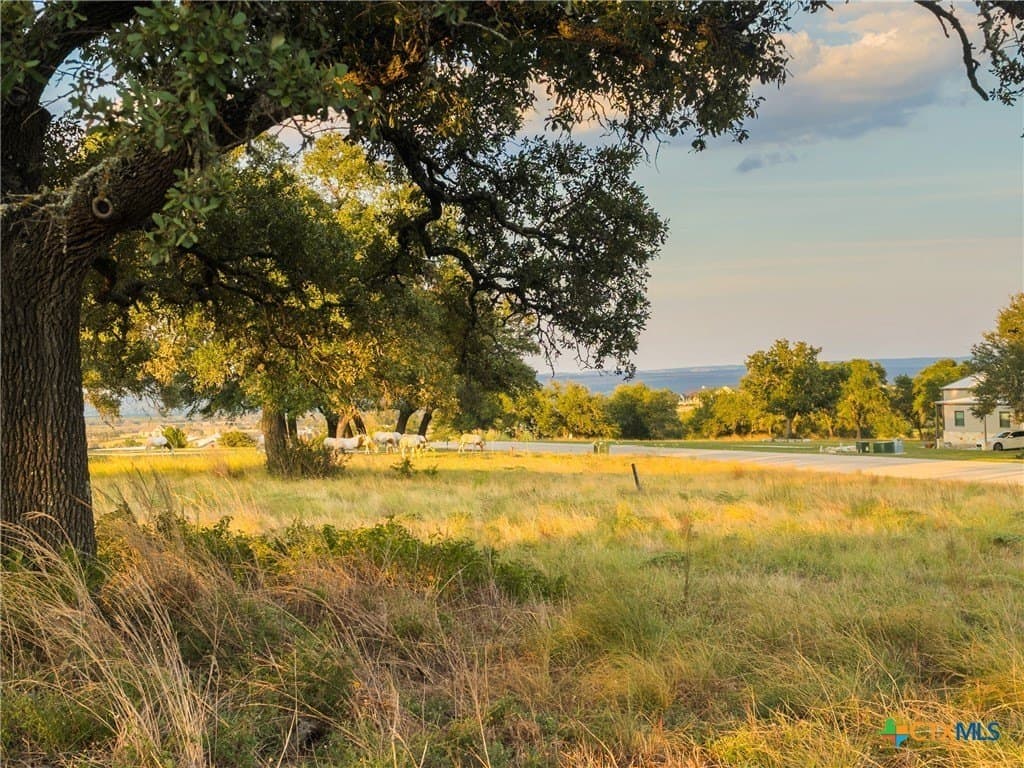 3.01 acres in Gillespie County - photo 6