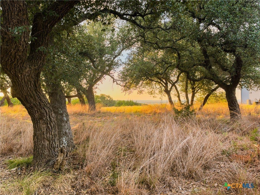 3.01 acres in Gillespie County - photo 20