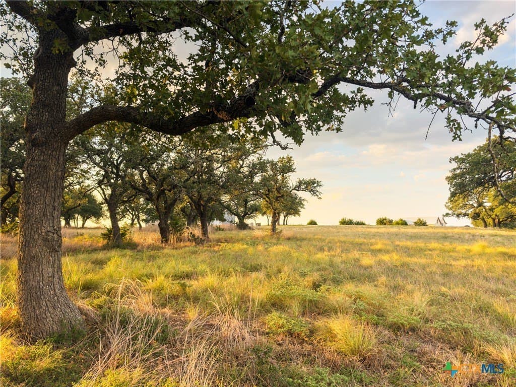 3.01 acres in Gillespie County - photo 4
