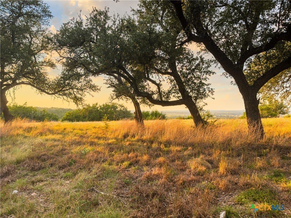 3.01 acres in Gillespie County - photo 21