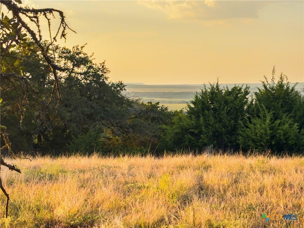 3.01 acres in Gillespie County - photo 3