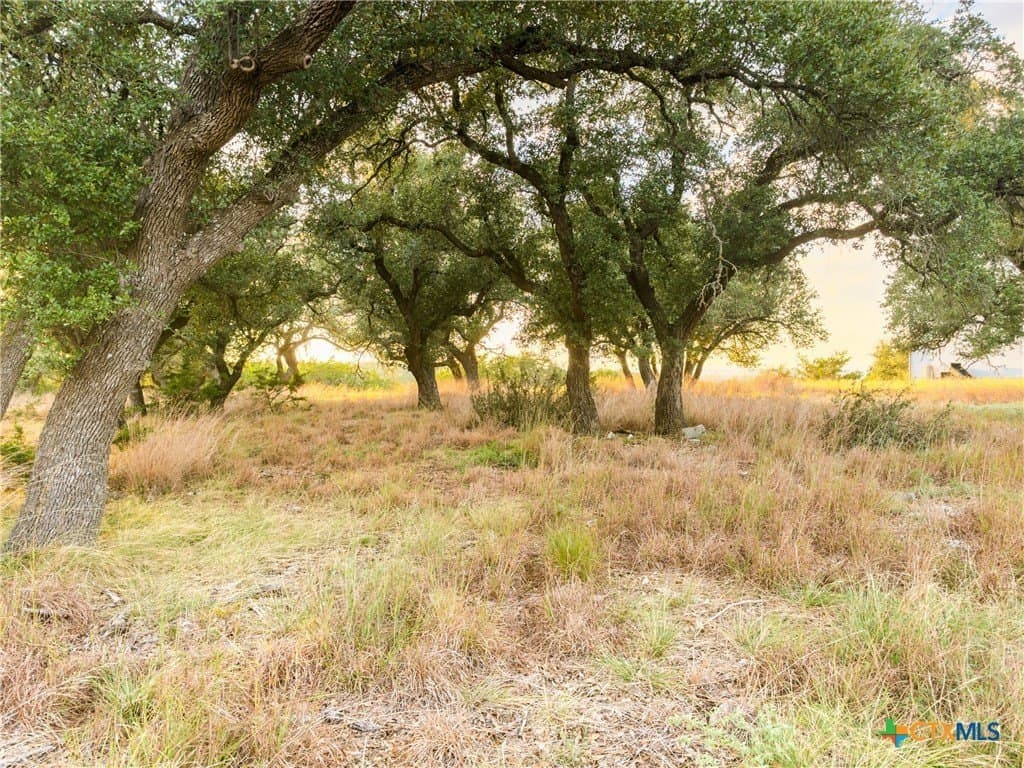 3.01 acres in Gillespie County - photo 14