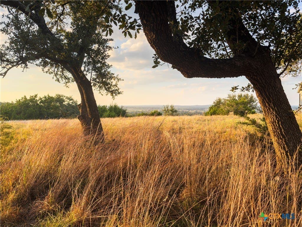 3.01 acres in Gillespie County - photo 22