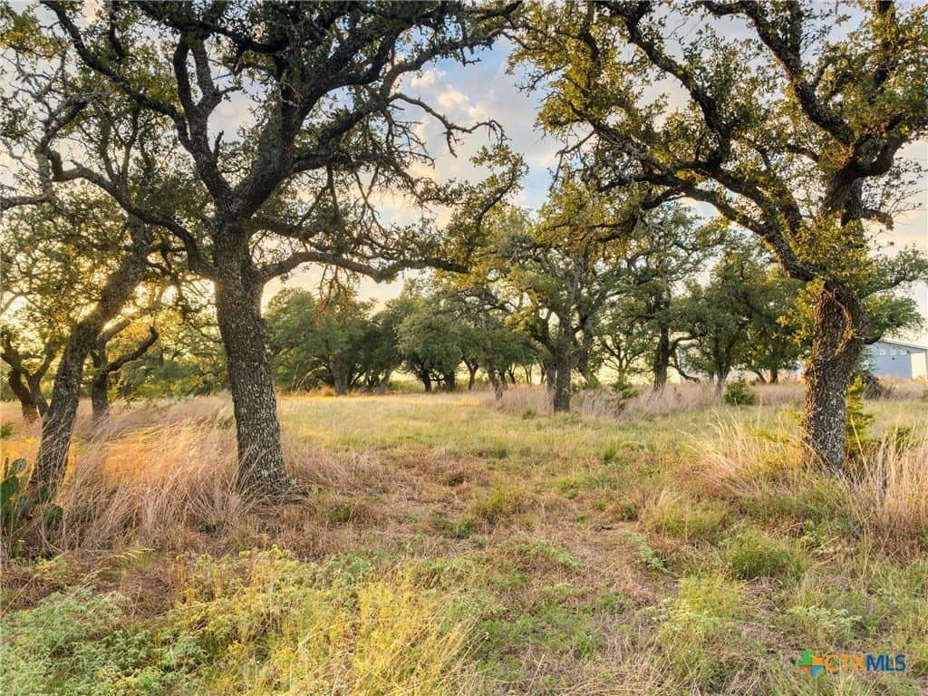 3.01 acres in Gillespie County - photo 9