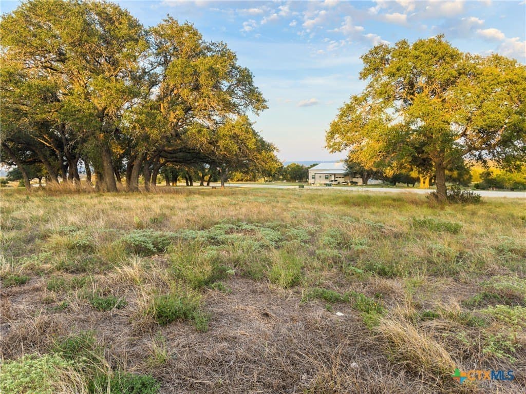 3.01 acres in Gillespie County - photo 26