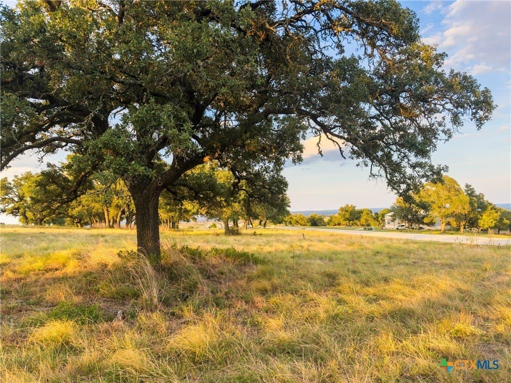 3.01 acres in Gillespie County - photo 5