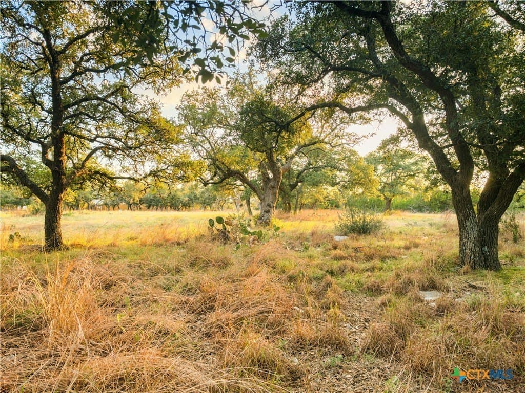 3.01 acres in Gillespie County - photo 19