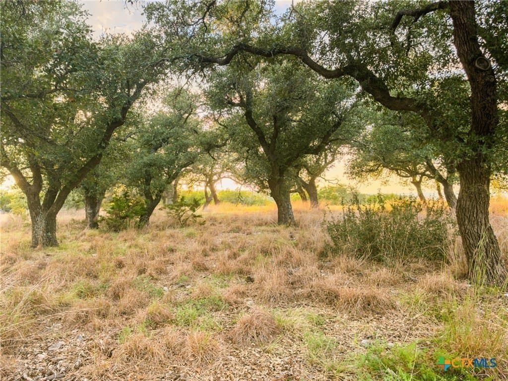 3.01 acres in Gillespie County - photo 15