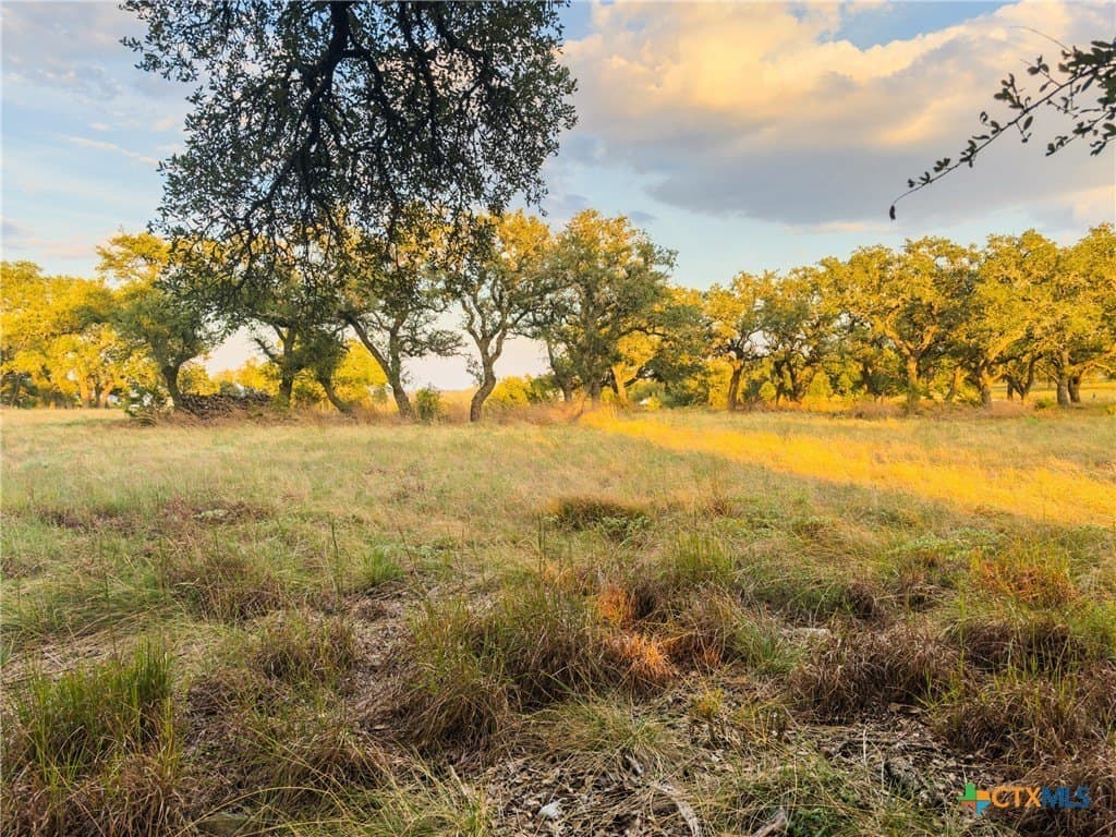3.01 acres in Gillespie County - photo 18