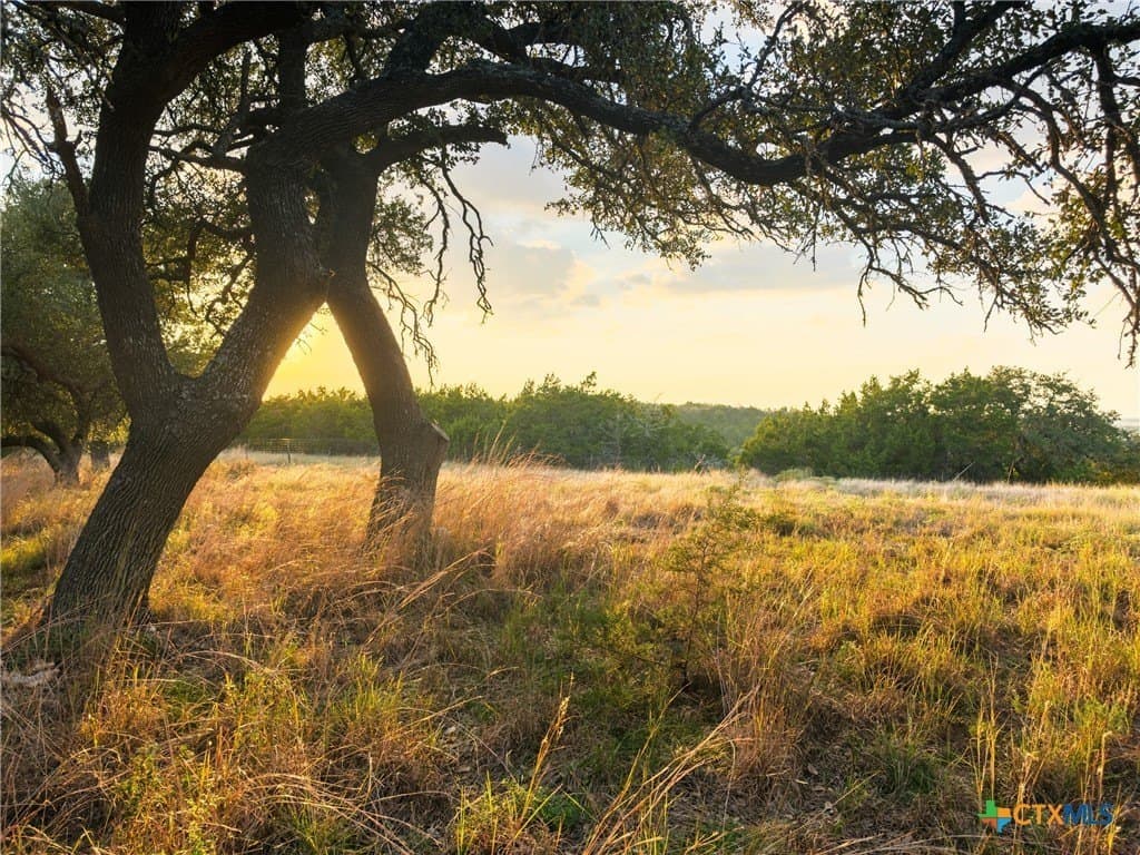 3.01 acres in Gillespie County - photo 25