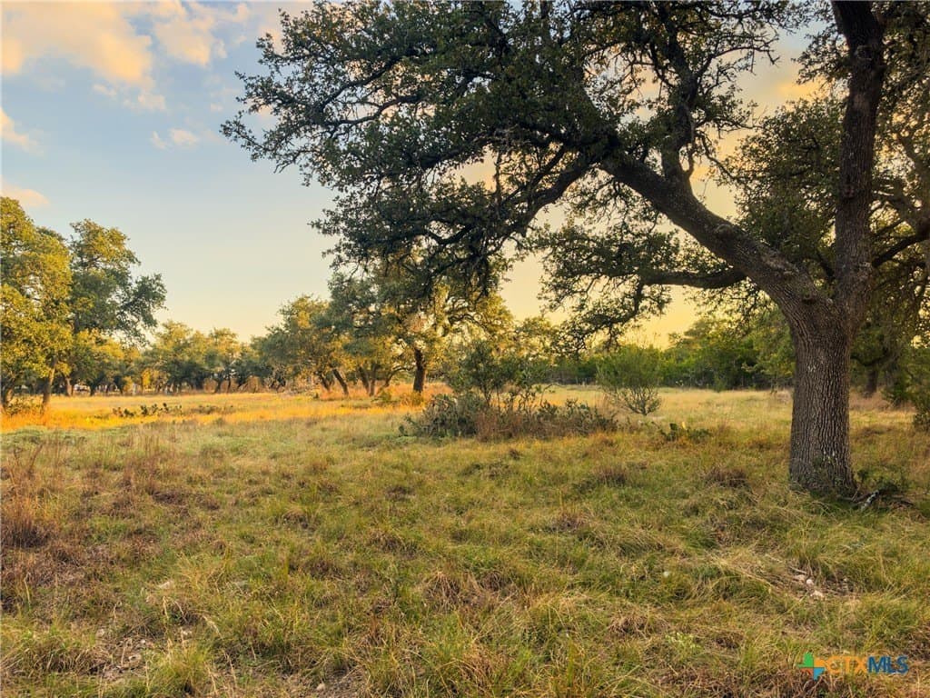 3.01 acres in Gillespie County - photo 23