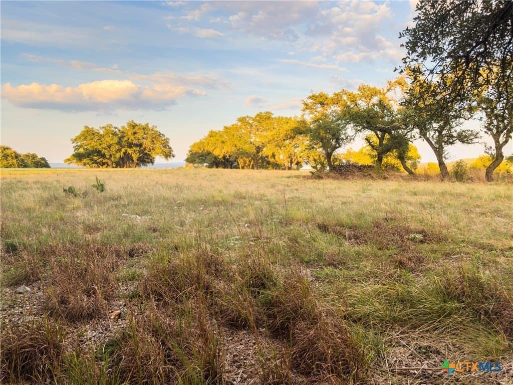 3.01 acres in Gillespie County - photo 17