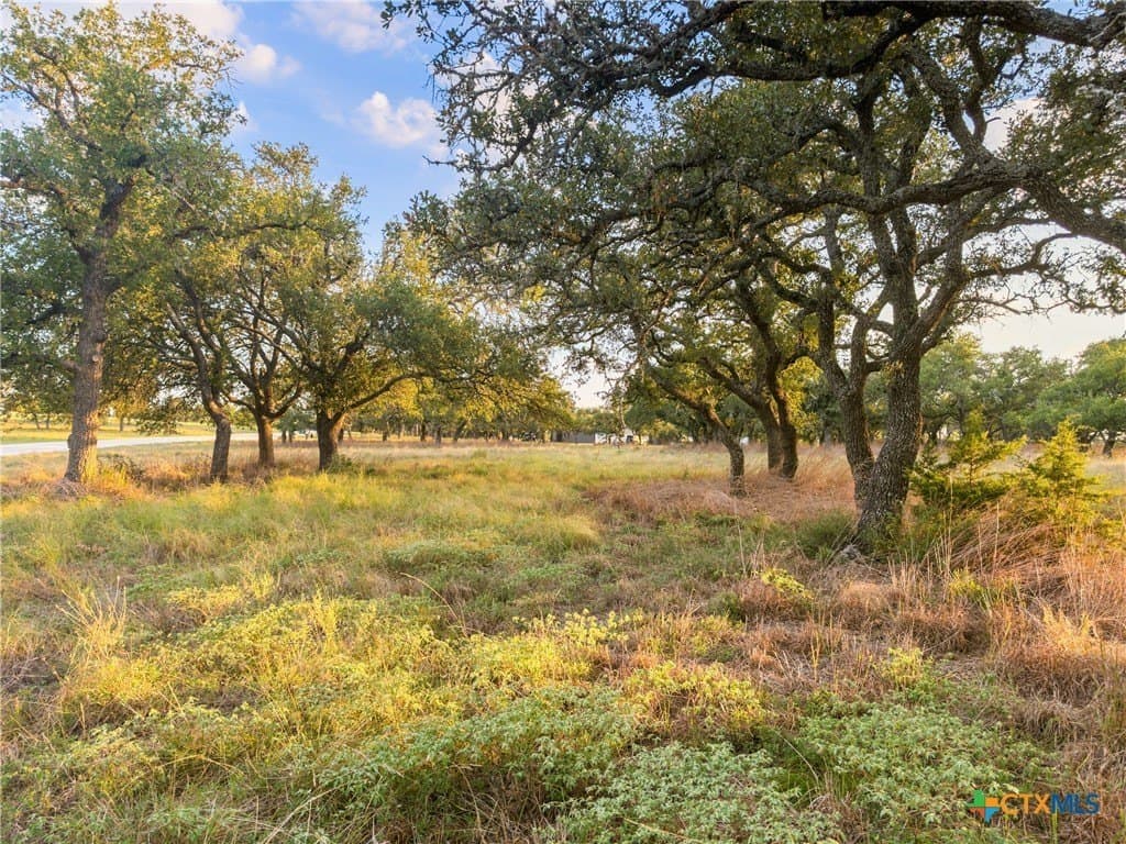 3.01 acres in Gillespie County - photo 11