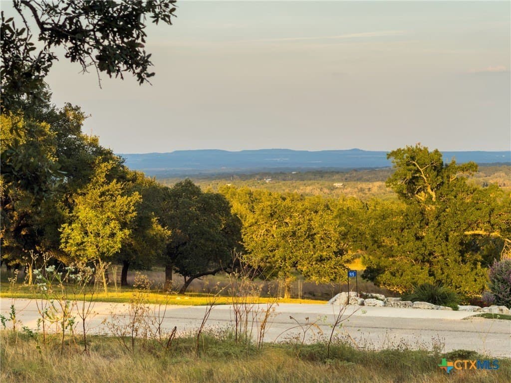 3.01 acres in Gillespie County - photo 7