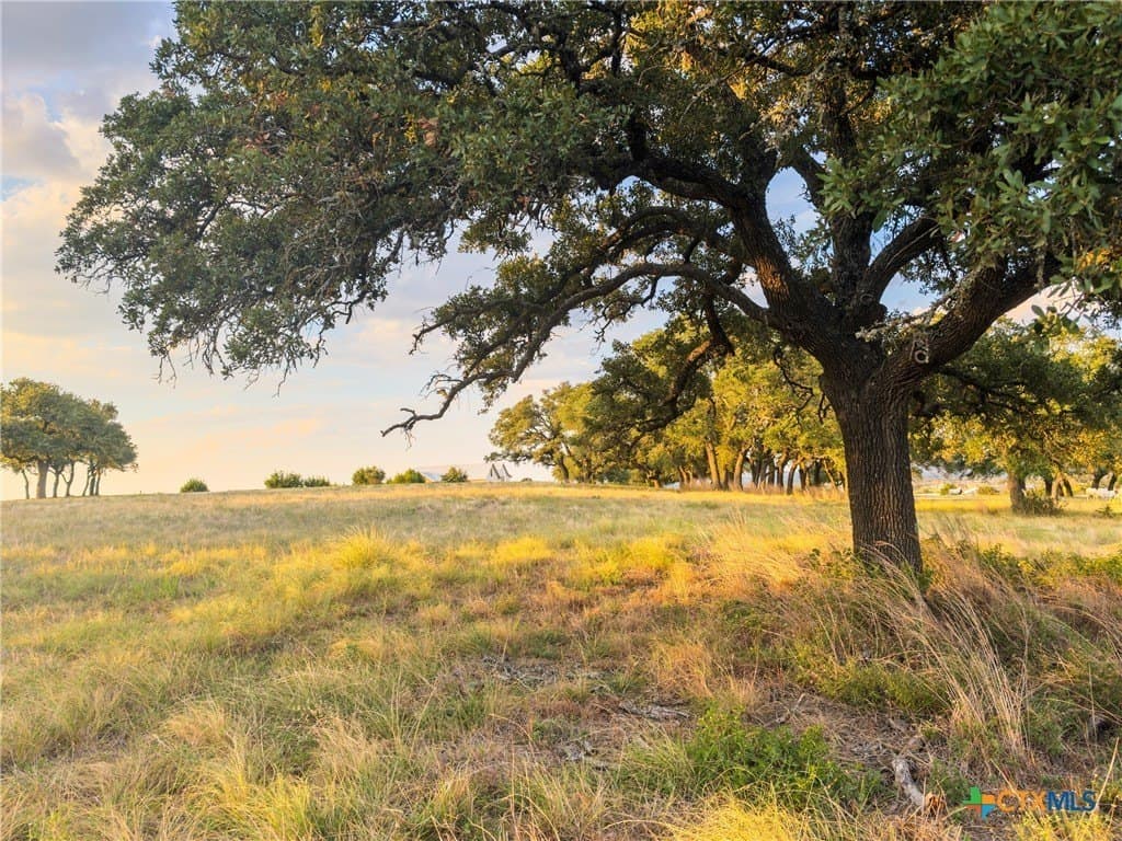 3.01 acres in Gillespie County - photo 8