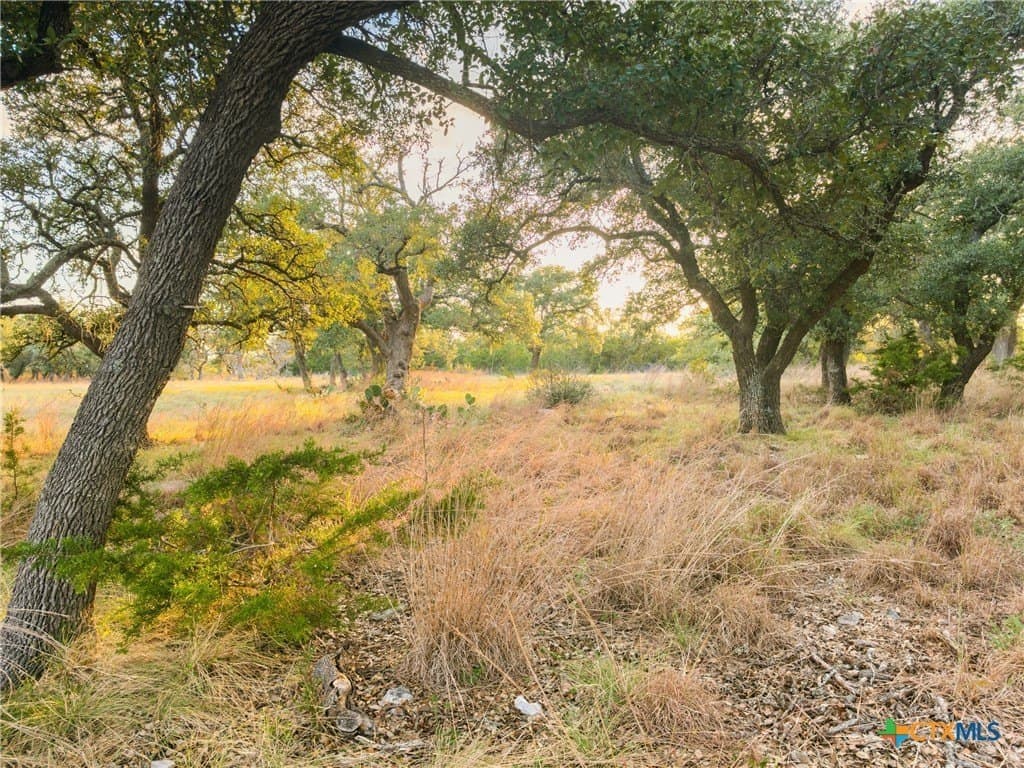 3.01 acres in Gillespie County - photo 16