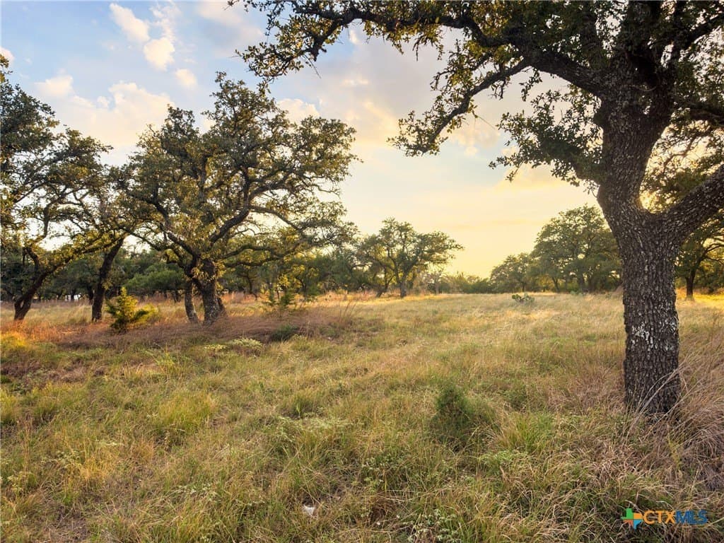 3.01 acres in Gillespie County - photo 12