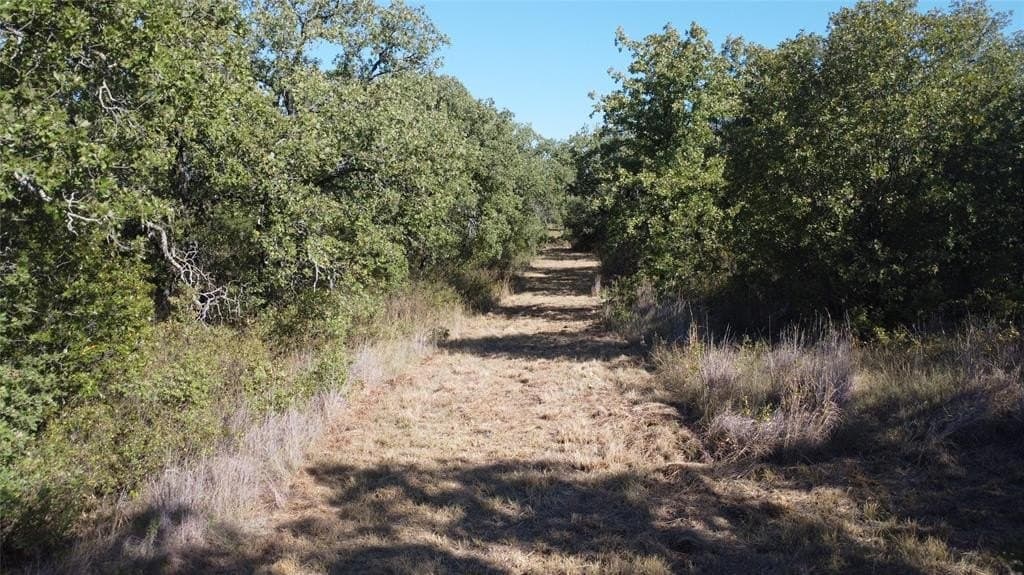 153 acres in Young County gallery image 4