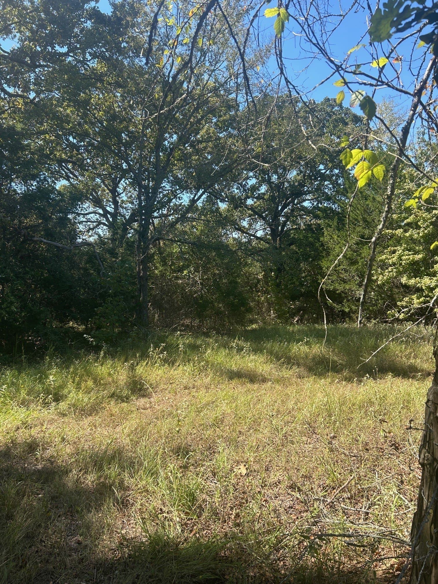 24.95 acres in Henderson County - photo 5