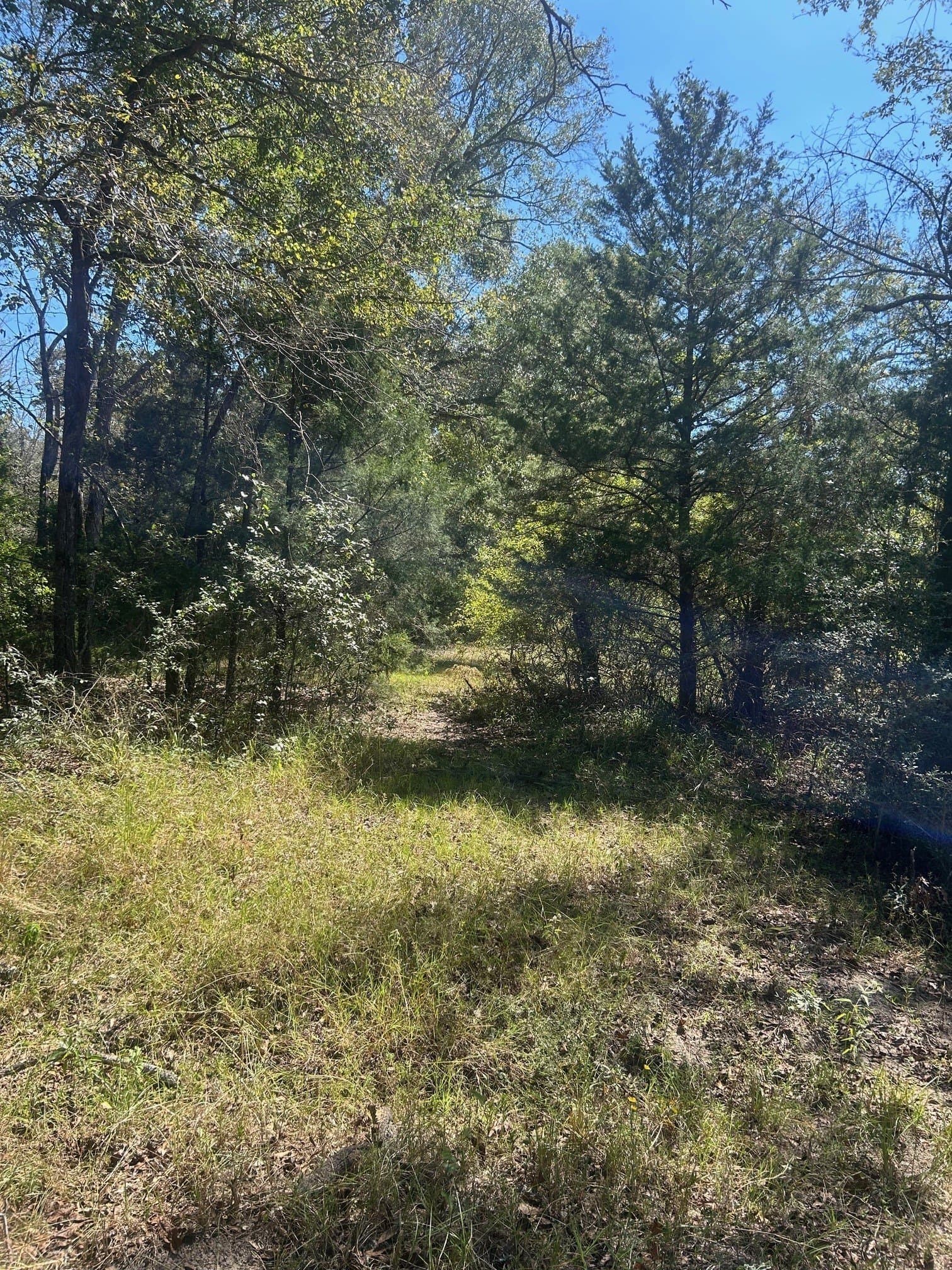24.95 acres in Henderson County - photo 6