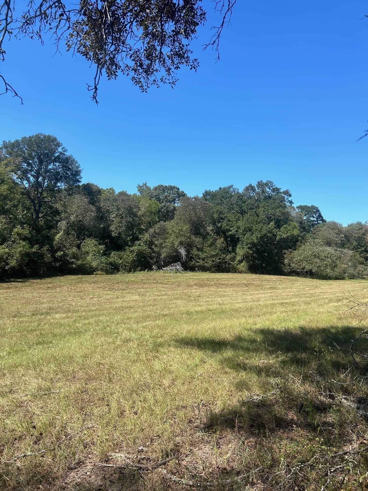 24.95 acres in Henderson County - photo 3