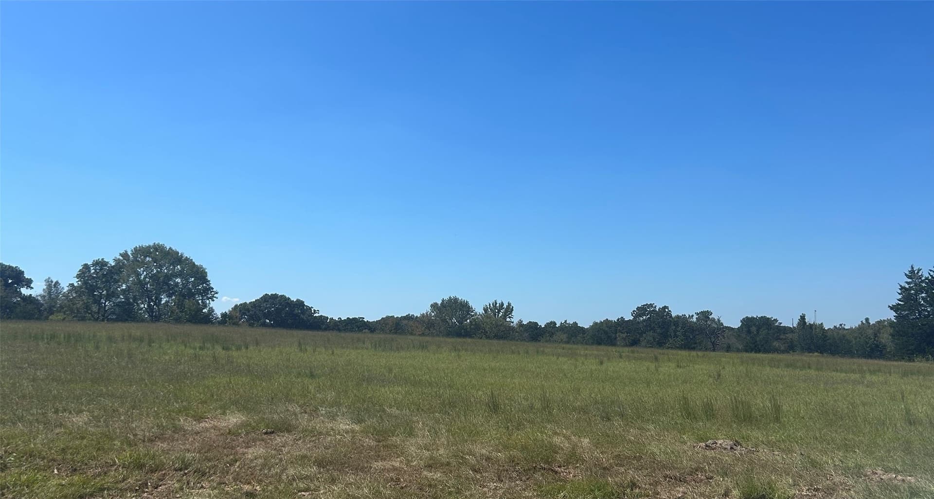 24.95 acres in Henderson County - photo 2
